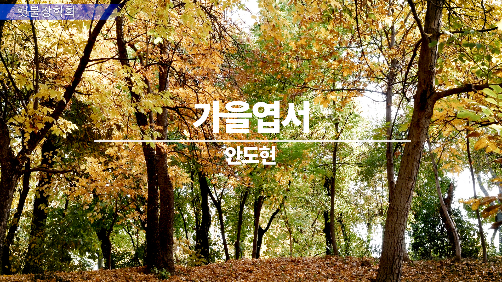 201101_횃불11_title.jpg